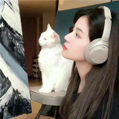反斗灵猫